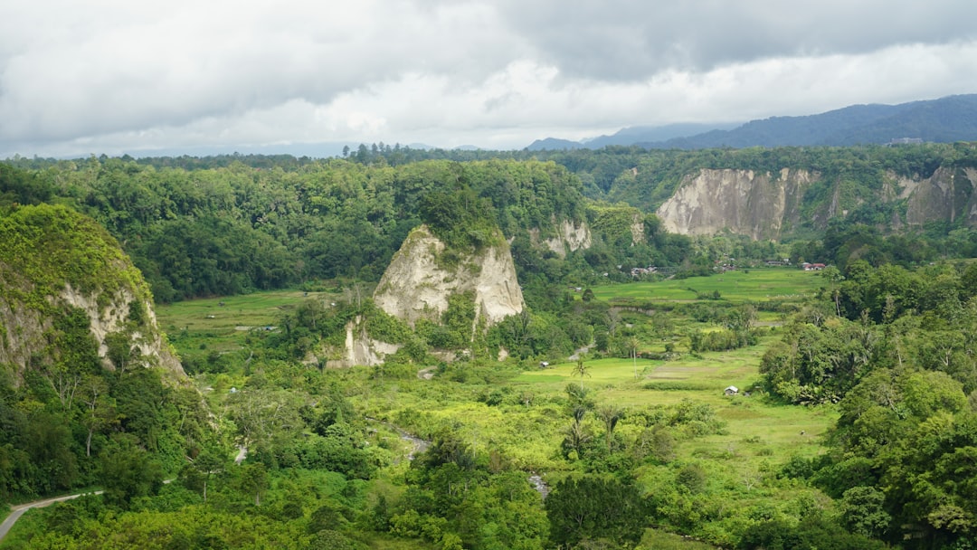 Ibukota Nusantara: Masa Depan Indonesia di Kalimantan
