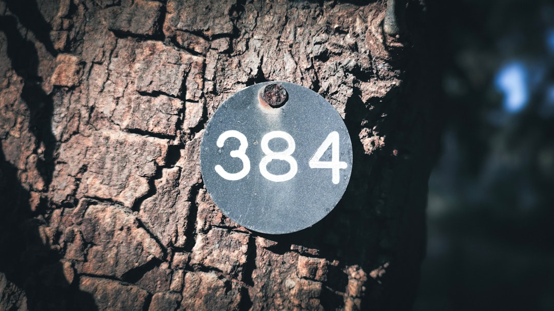 Mengungkap Rahasia Sukses Bermain di DV188 Slot Dana